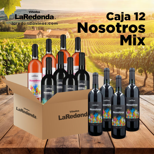 Caja de 12 Nosotros los Mexicanos Mix