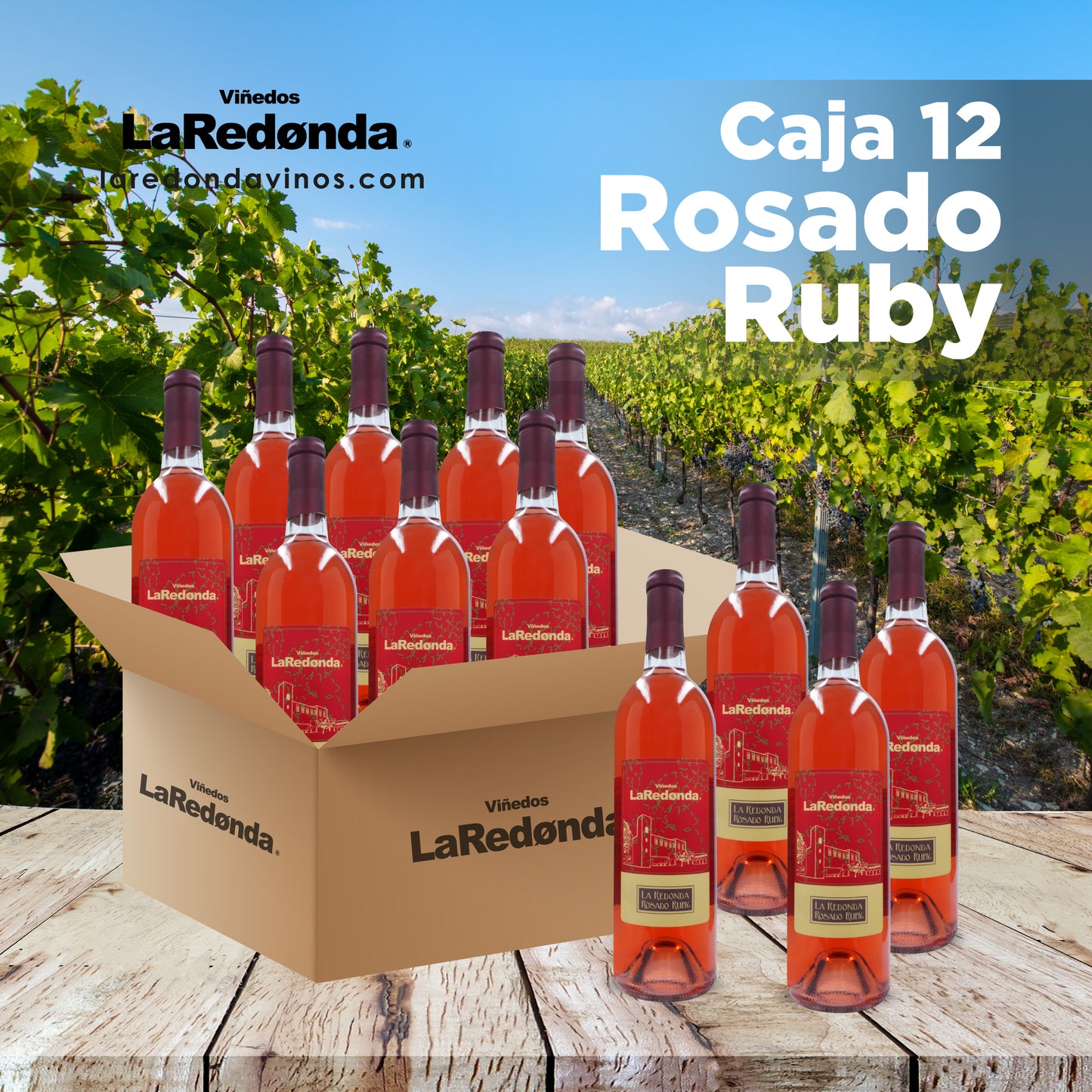 Caja de 12 Rosado Ruby