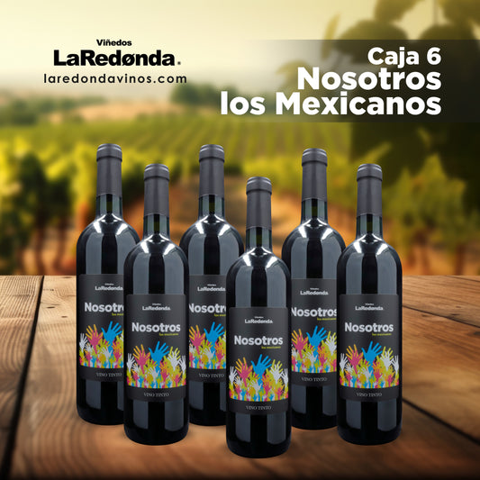 Caja de 6 Tinto Nosotros los Mexicanos