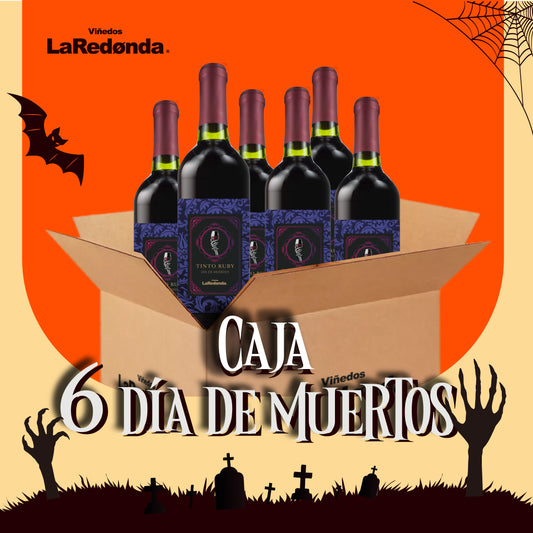 Caja de 6 Día de Muertos