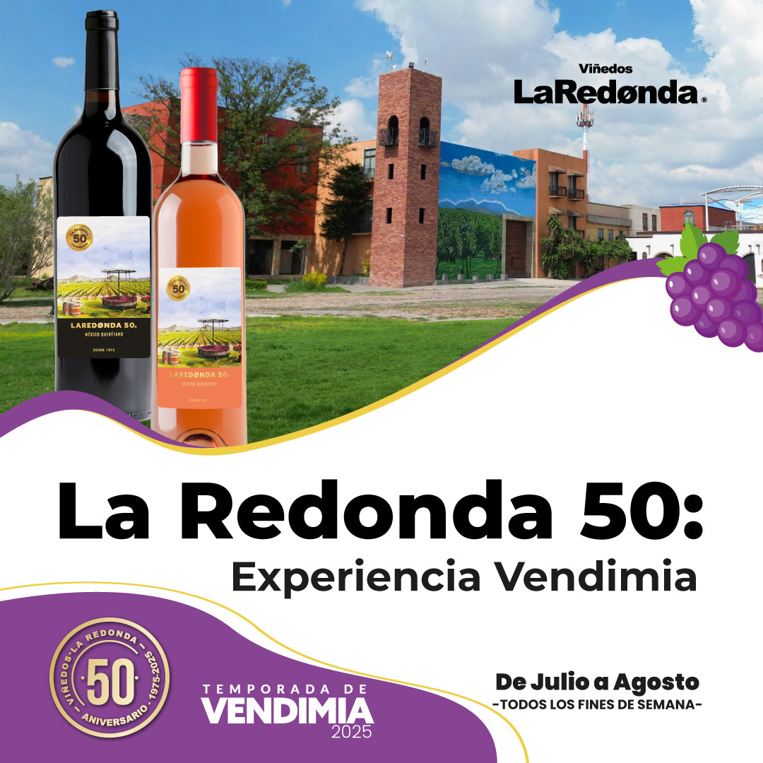 (LR50 Experiencia Vendimia) Temporada de Vendimia 2025