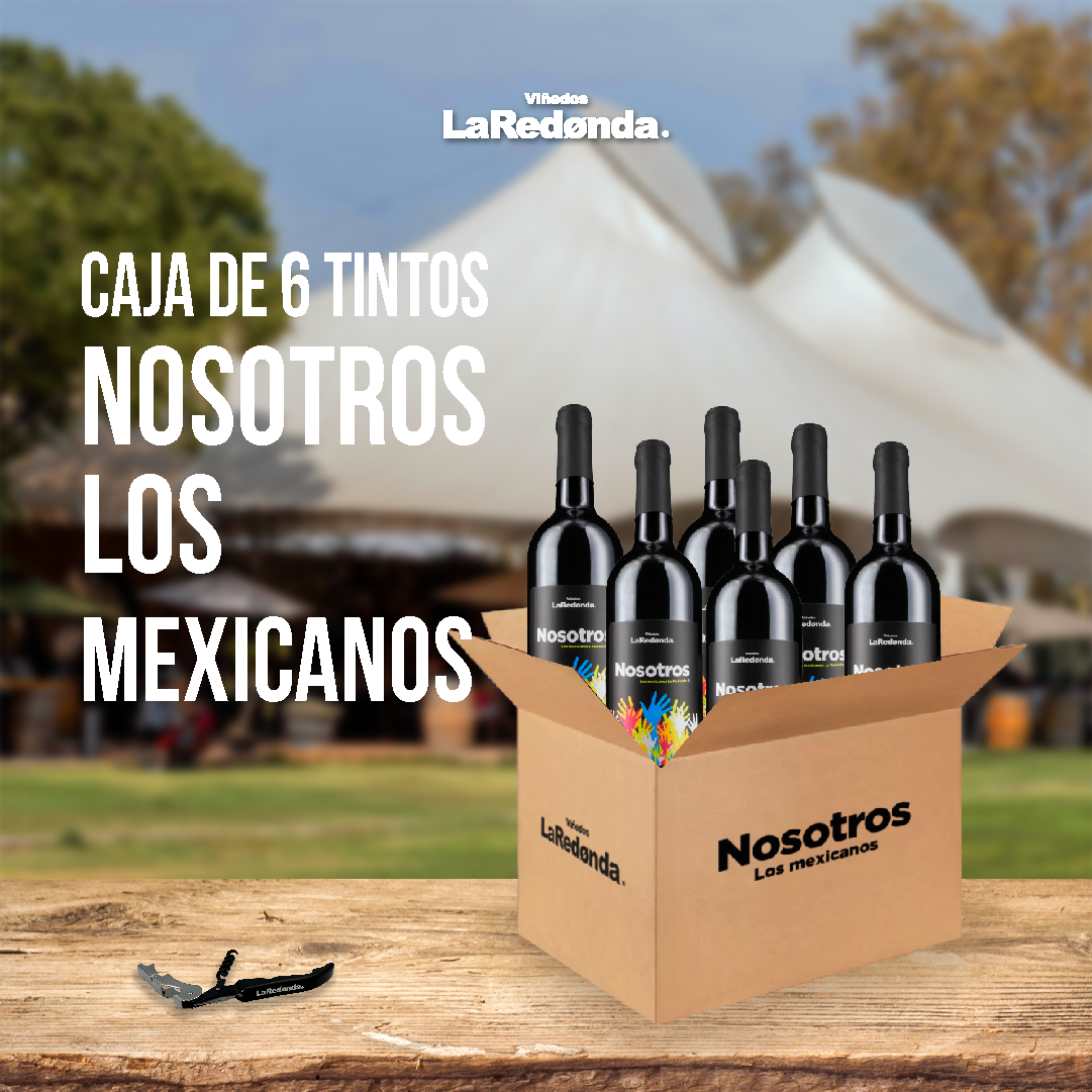 Caja de 6 Tinto Nosotros los Mexicanos