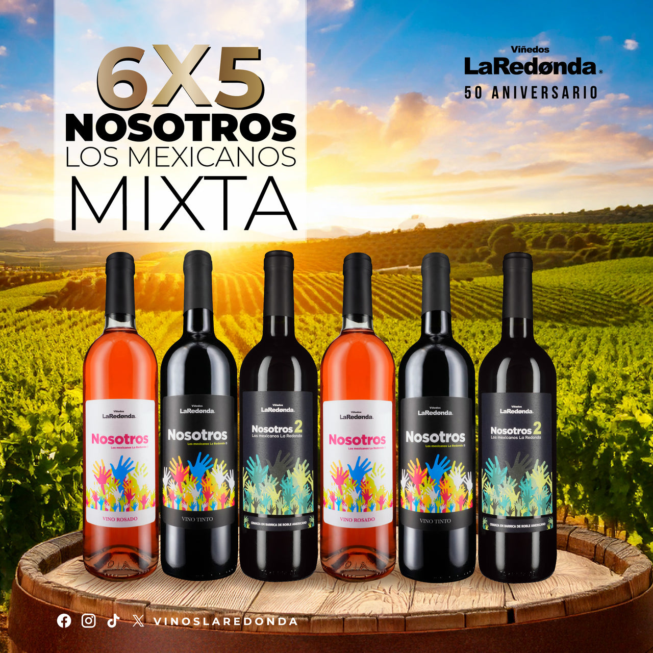 Caja de 6 Nosotros los Mexicanos Mix