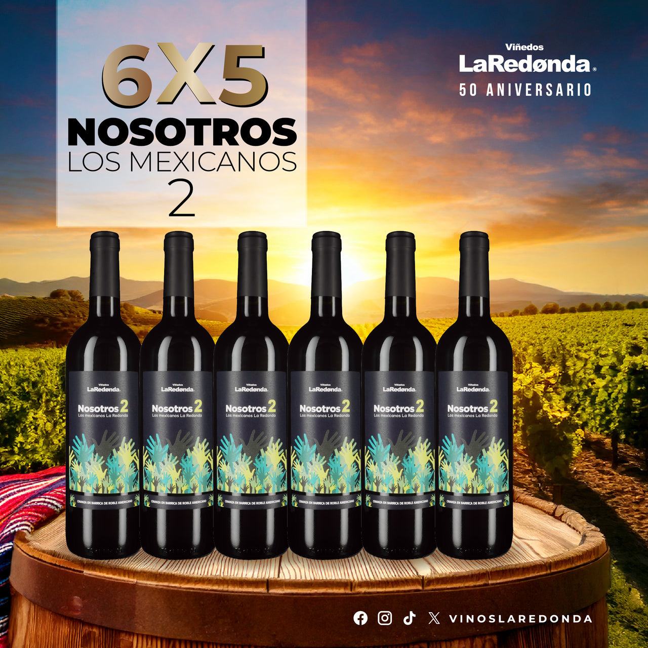 Caja de 6 Tinto Nosotros los Mexicanos 2
