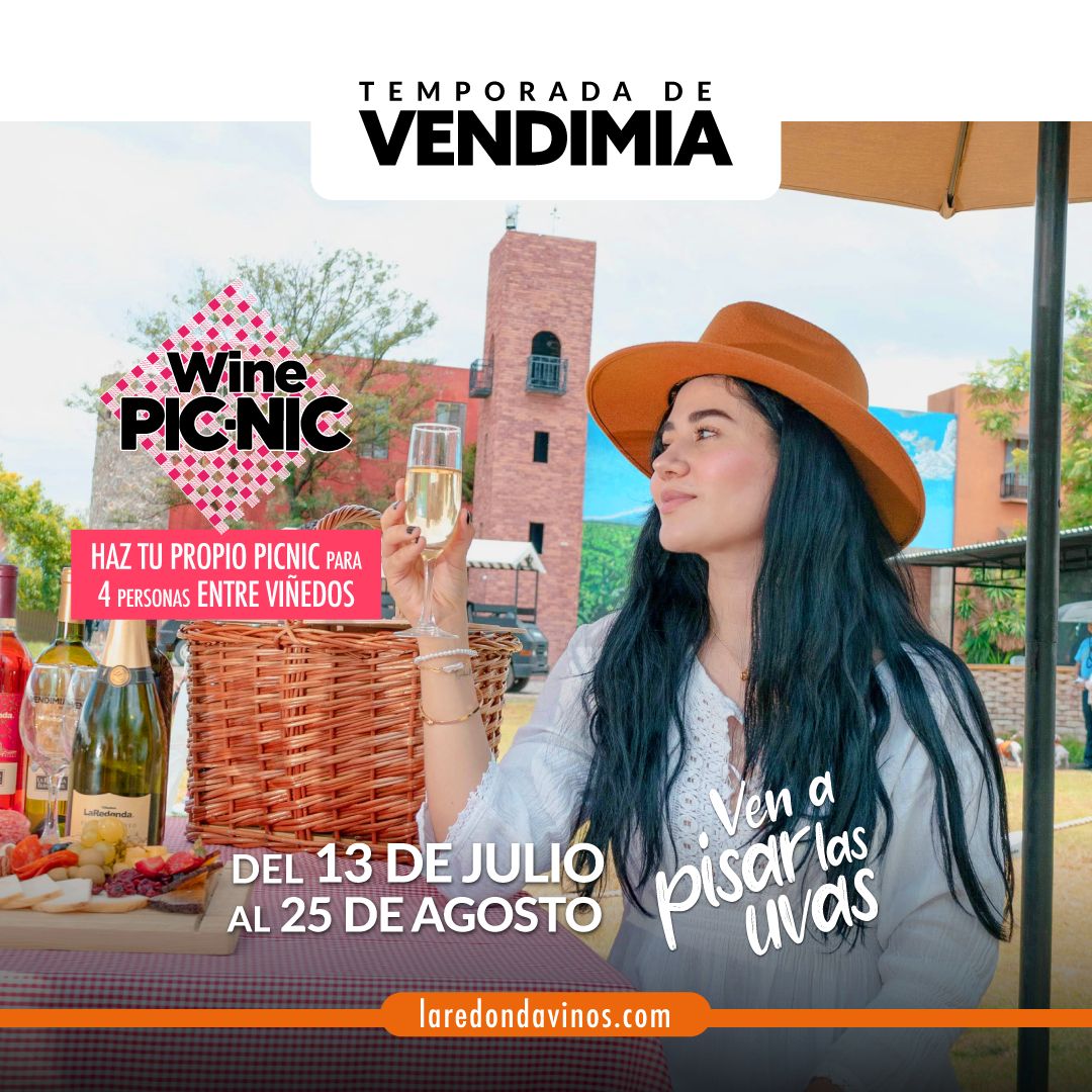 (Wine Picnic) Temporada de Vendimia 2024